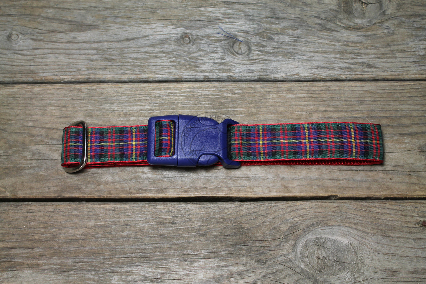 Cameron of Erracht clan tartan - dog collar