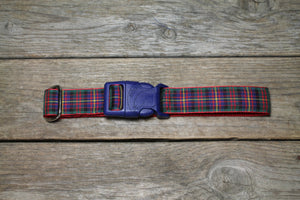 Cameron of Erracht clan tartan - dog collar