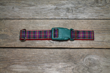 Cameron of Erracht clan tartan - dog collar