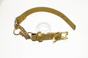 Biothane Chain Martingale Dog Collar - 1" (25mm) wide - Solid Brass or Stainless Steel Hardware