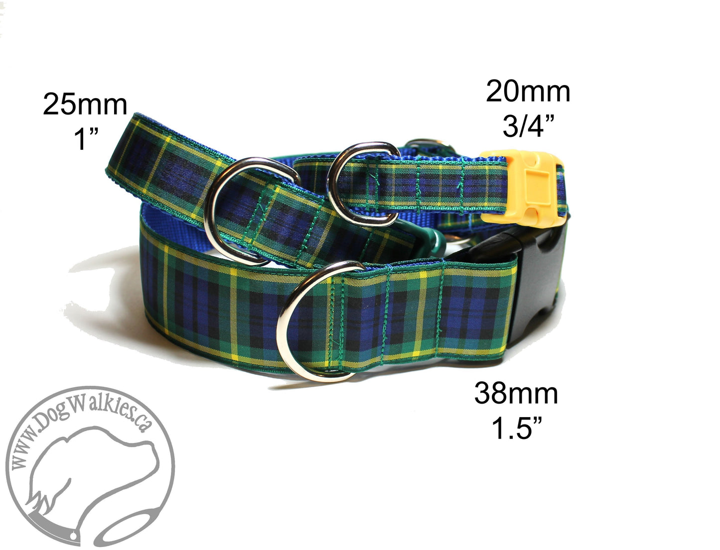 Gordon clan tartan - dog collar