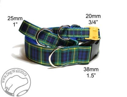 Gordon clan tartan - dog collar