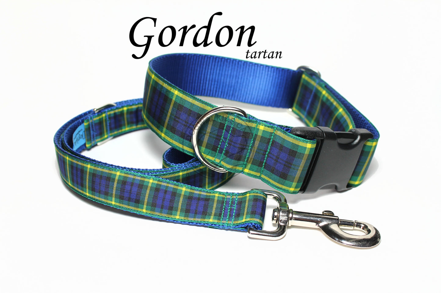 Gordon clan tartan - dog collar