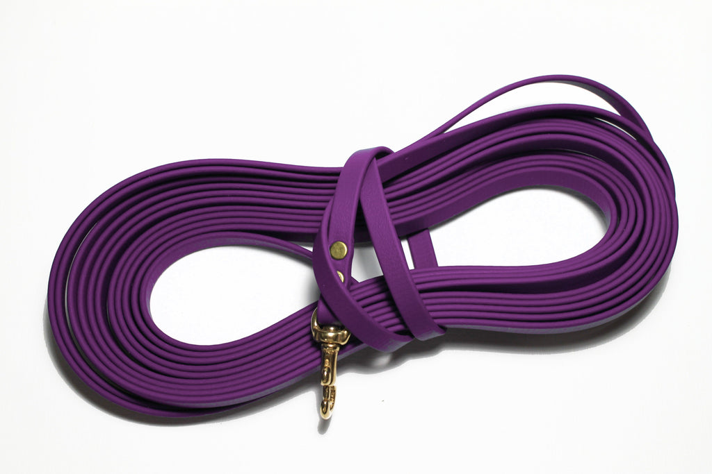 long purple leash coiled with brass snap clip on white background