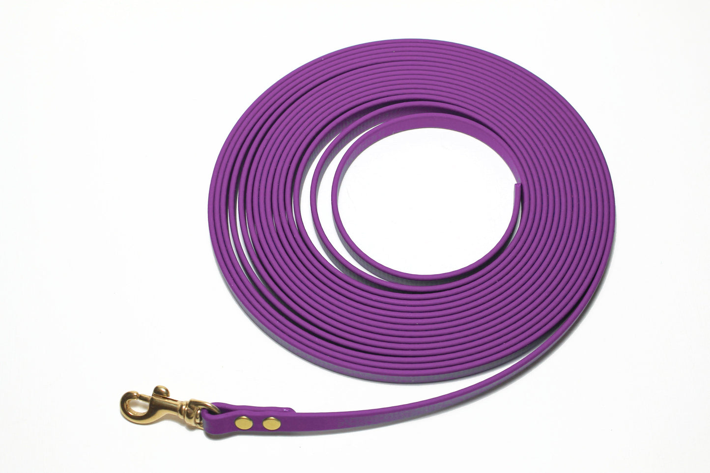 Lighter Weight Waterproof Tracking Recall Long Line - leash for smaller dog or cats - 3/8" (9mm) Biothane