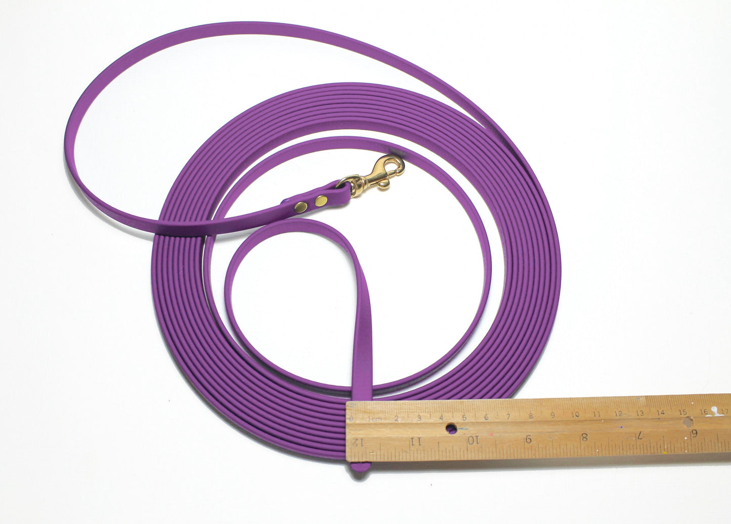 Lighter Weight Waterproof leashes - leash for cats - tracking recall long line - 3/8" (9mm) Biothane