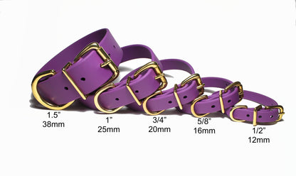 Grape Biothane Small Dog Collar - 1/2" (12mm) wide