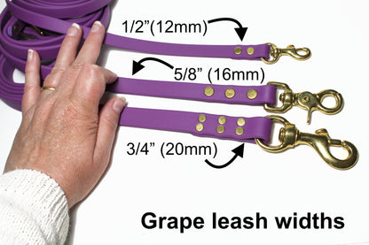 Grape Biothane Large Dog Leash