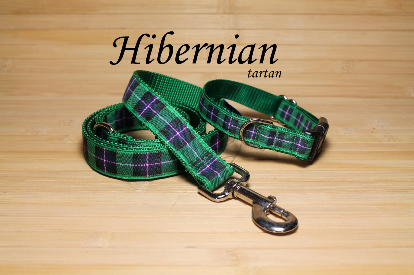 Hibernian FC Hibs tartan - dog collar
