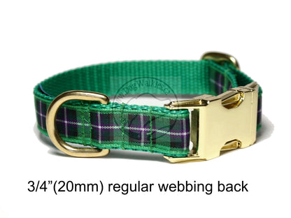 Hibernian FC Hibs tartan - dog collar
