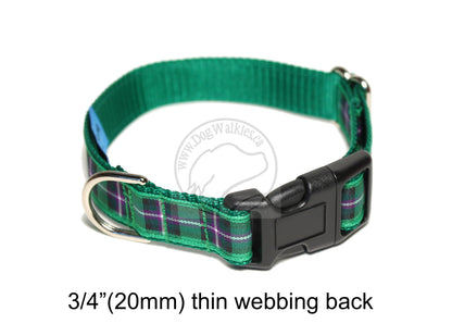 Hibernian FC Hibs tartan - dog collar