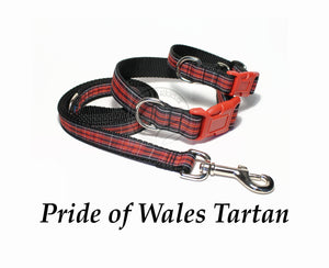 Tartan Dog Leash - Pride of Wales Tartan
