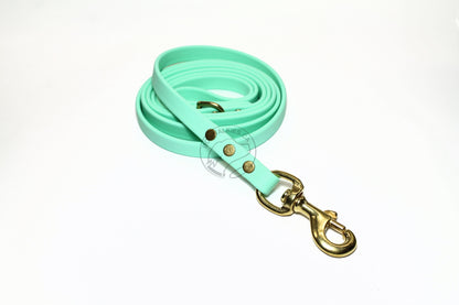 Sea Foam Pastel Green Biothane Dog Leash - Regular 16mm (5/8") width