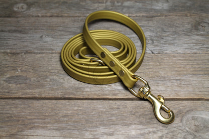 Gold Biothane Dog Leash - Regular 16mm (5/8") width