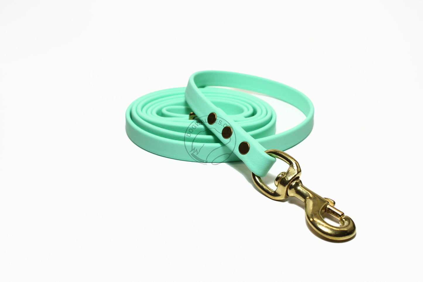 Sea Foam Pastel Green Biothane Dog Leash - Regular 16mm (5/8") width
