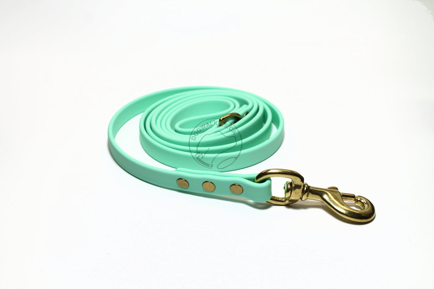 Sea Foam Pastel Green Biothane Dog Leash - Regular 16mm (5/8") width