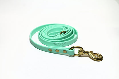 Sea Foam Pastel Green Biothane Dog Leash - Regular 16mm (5/8") width