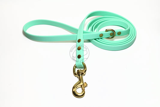 Sea Foam Pastel Green Biothane Dog Leash - Regular 16mm (5/8") width
