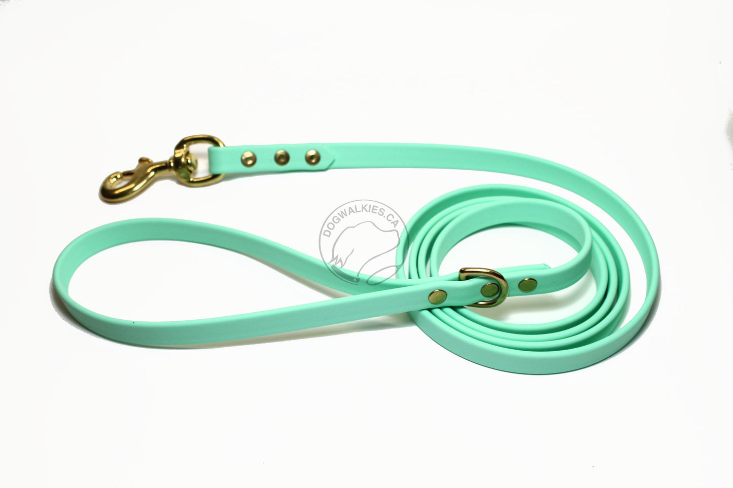 Sea Foam Pastel Green Biothane Dog Leash - Regular 16mm (5/8") width