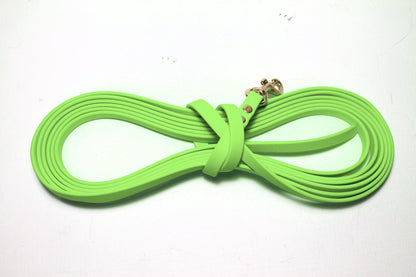 Lighter Weight Waterproof Tracking Recall Long Line - leash for smaller dog or cats - 3/8" (9mm) Biothane