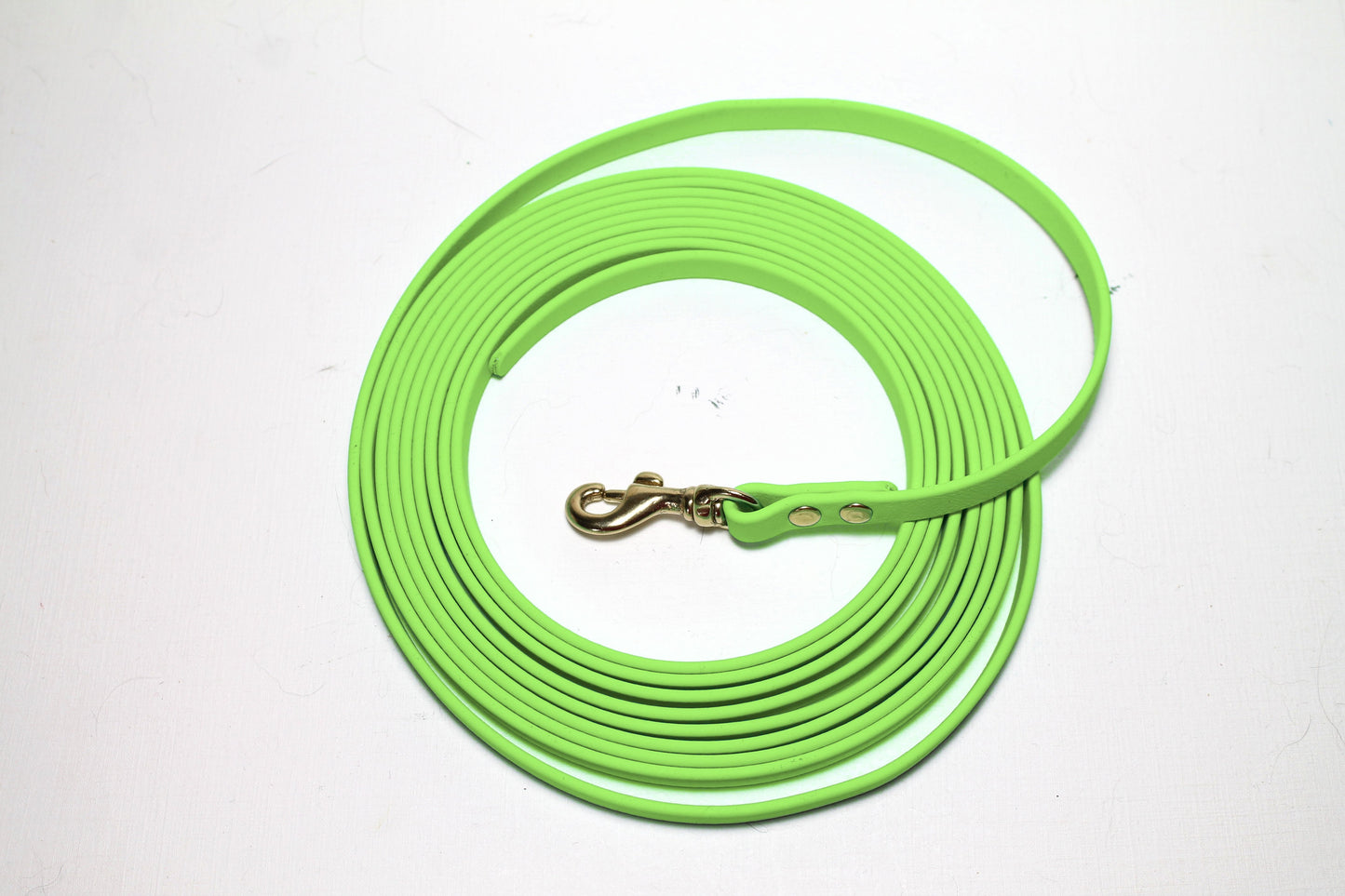 Lighter Weight Waterproof Tracking Recall Long Line - leash for smaller dog or cats - 3/8" (9mm) Biothane