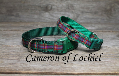 Cameron of Lochiel clan tartan - dog collar