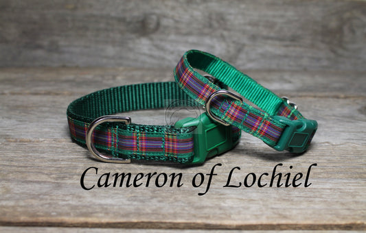 Cameron of Lochiel clan tartan - dog collar