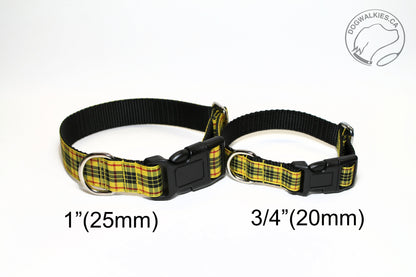 MacLeod Clan tartan - dog collar - NEW
