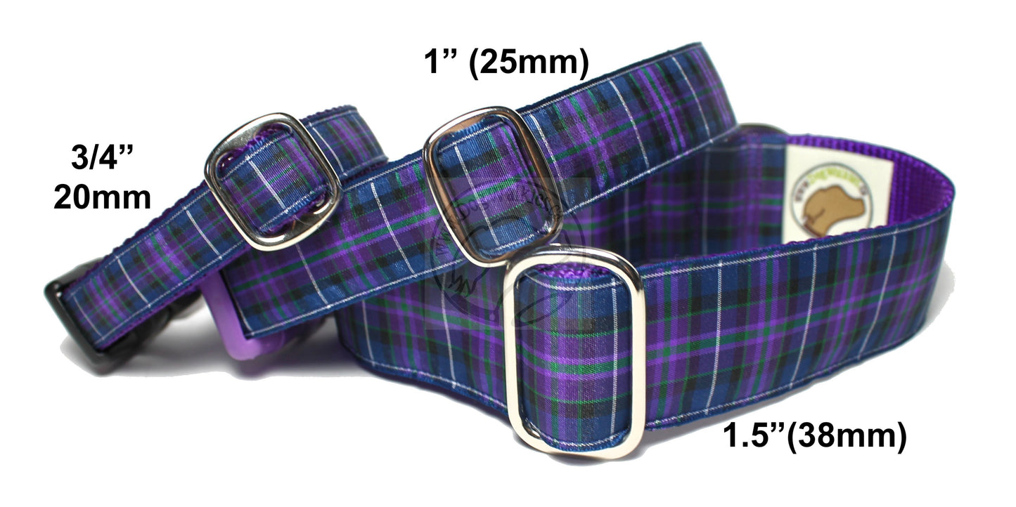 Pride of Scotland Modern tartan - dog collar