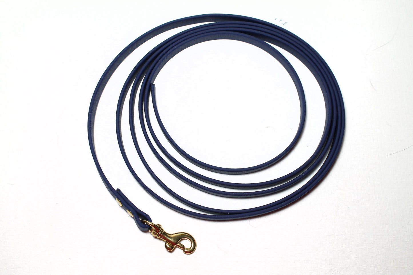 Lighter Weight Waterproof leashes - leash for cats - tracking recall long line - 3/8" (9mm) Biothane