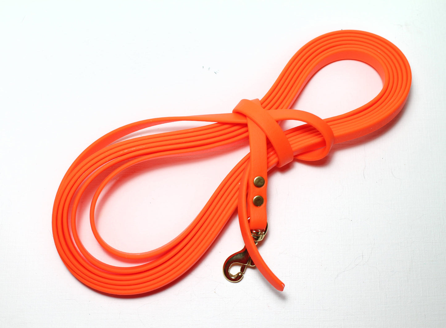 Lighter Weight Waterproof Tracking Recall Long Line - leash for smaller dog or cats - 3/8" (9mm) Biothane