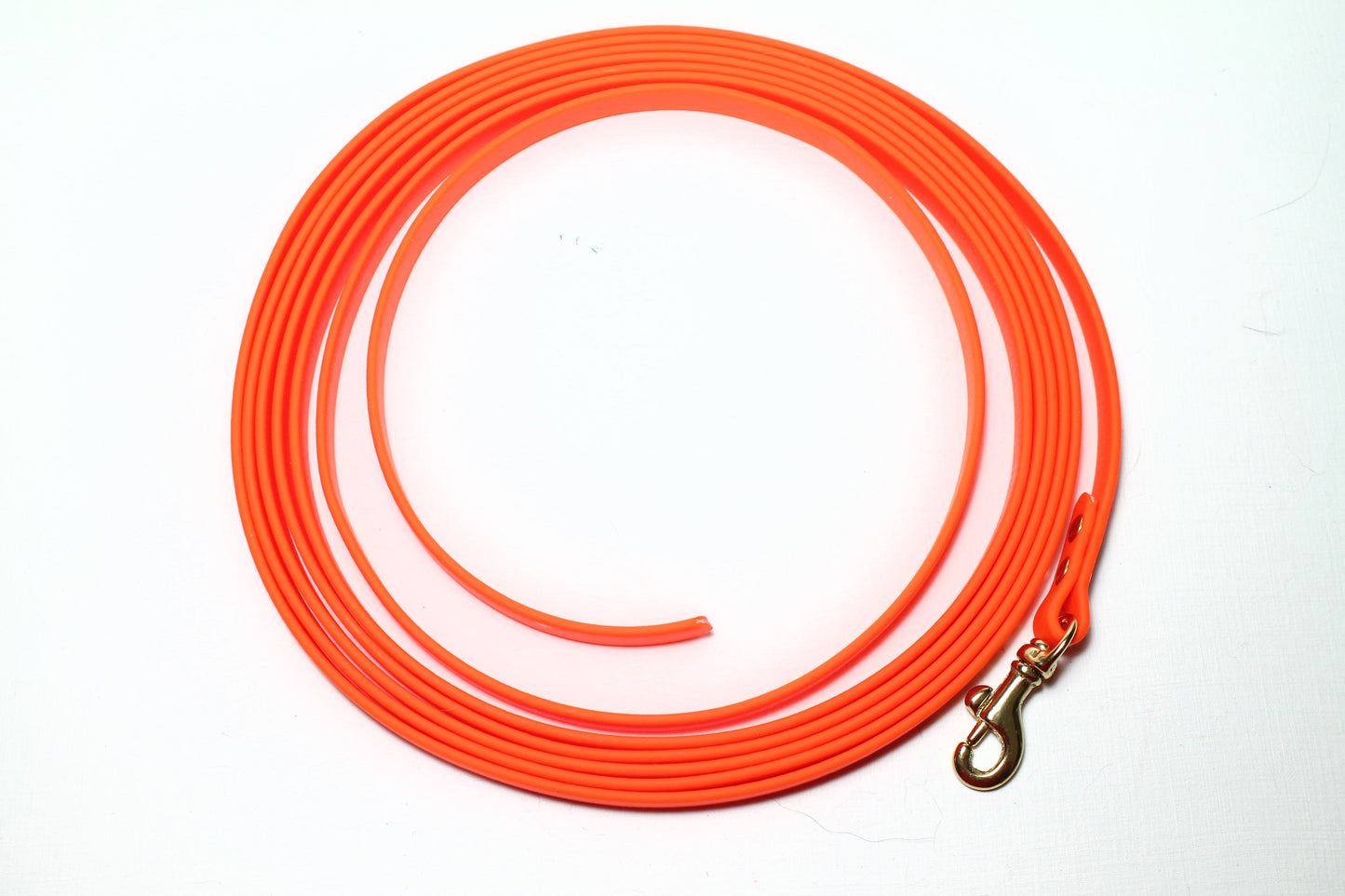 Lighter Weight Waterproof Tracking Recall Long Line - leash for smaller dog or cats - 3/8" (9mm) Biothane