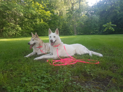 Neon Pink Biothane Dog Leash - Regular 16mm (5/8") width