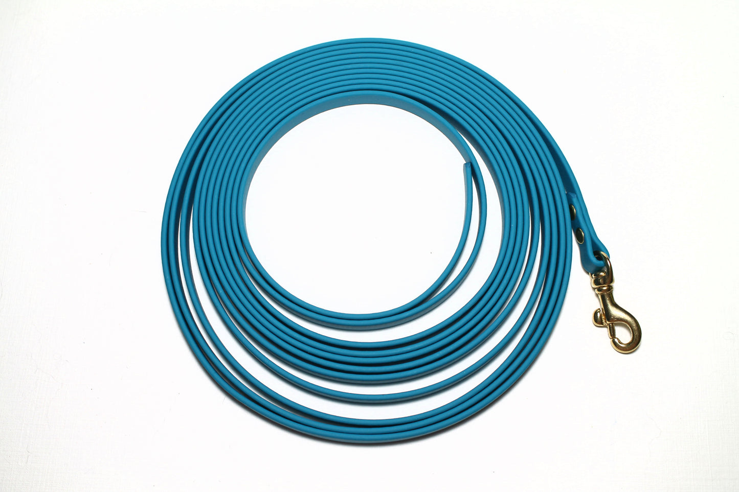 Lighter Weight Waterproof Tracking Recall Long Line - leash for smaller dog or cats - 3/8" (9mm) Biothane