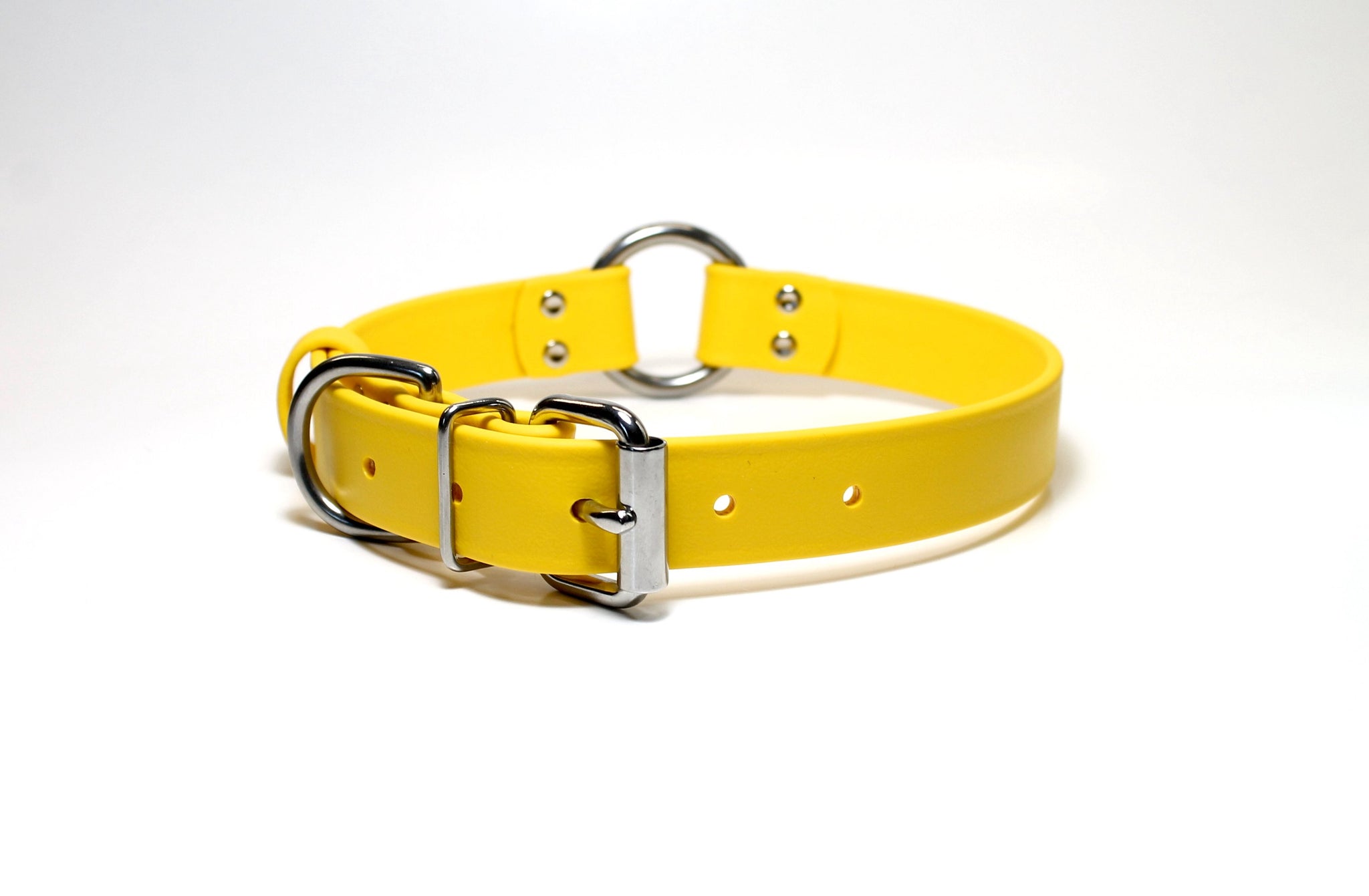 Biothane Dog Collar with O-ring - Two Tone or Solid Colours Collar - Waterproof - 1"(25mm) wide