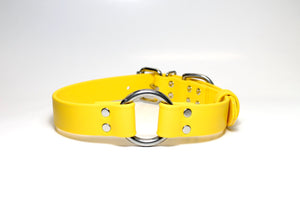 Biothane Dog Collar with O-ring - Two Tone or Solid Colours Collar - Waterproof - 1"(25mm) wide