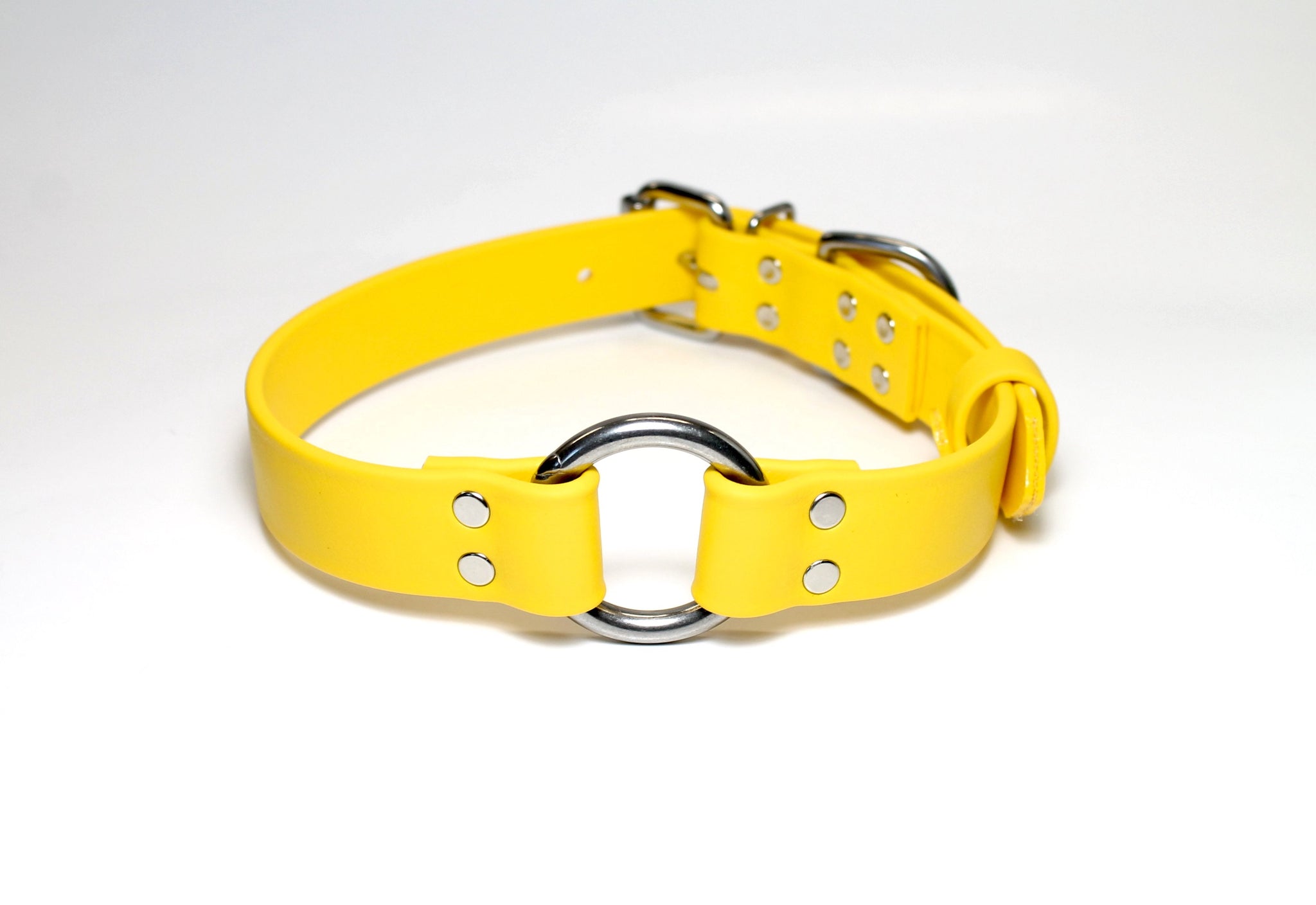 Biothane Dog Collar with O-ring - Two Tone or Solid Colours Collar - Waterproof - 1"(25mm) wide