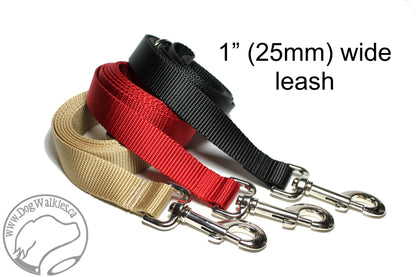 Nylon Dog Leash; Simple - Elegant - Strong; Regular Plain Leash; 1" (25mm) wide