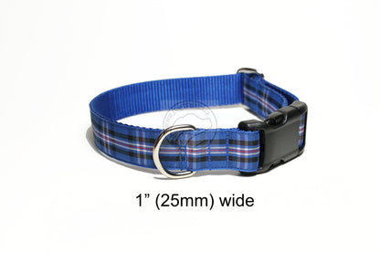 Rangers FC tartan - dog collar