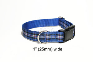 Rangers FC tartan - dog collar