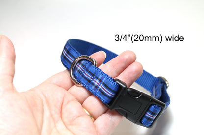 Rangers FC tartan - dog collar