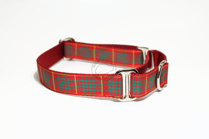 Cameron clan tartan - dog collar