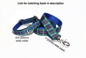 Rose Clan tartan - dog collar