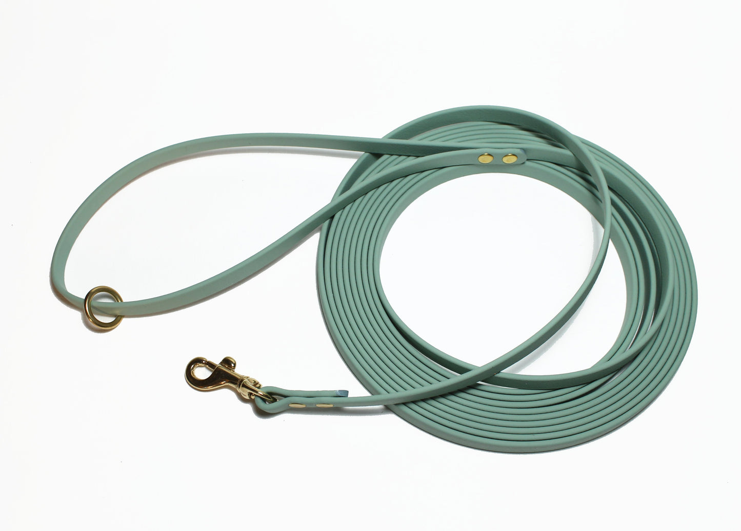 Lighter Weight Waterproof Tracking Recall Long Line - leash for smaller dog or cats - 3/8" (9mm) Biothane