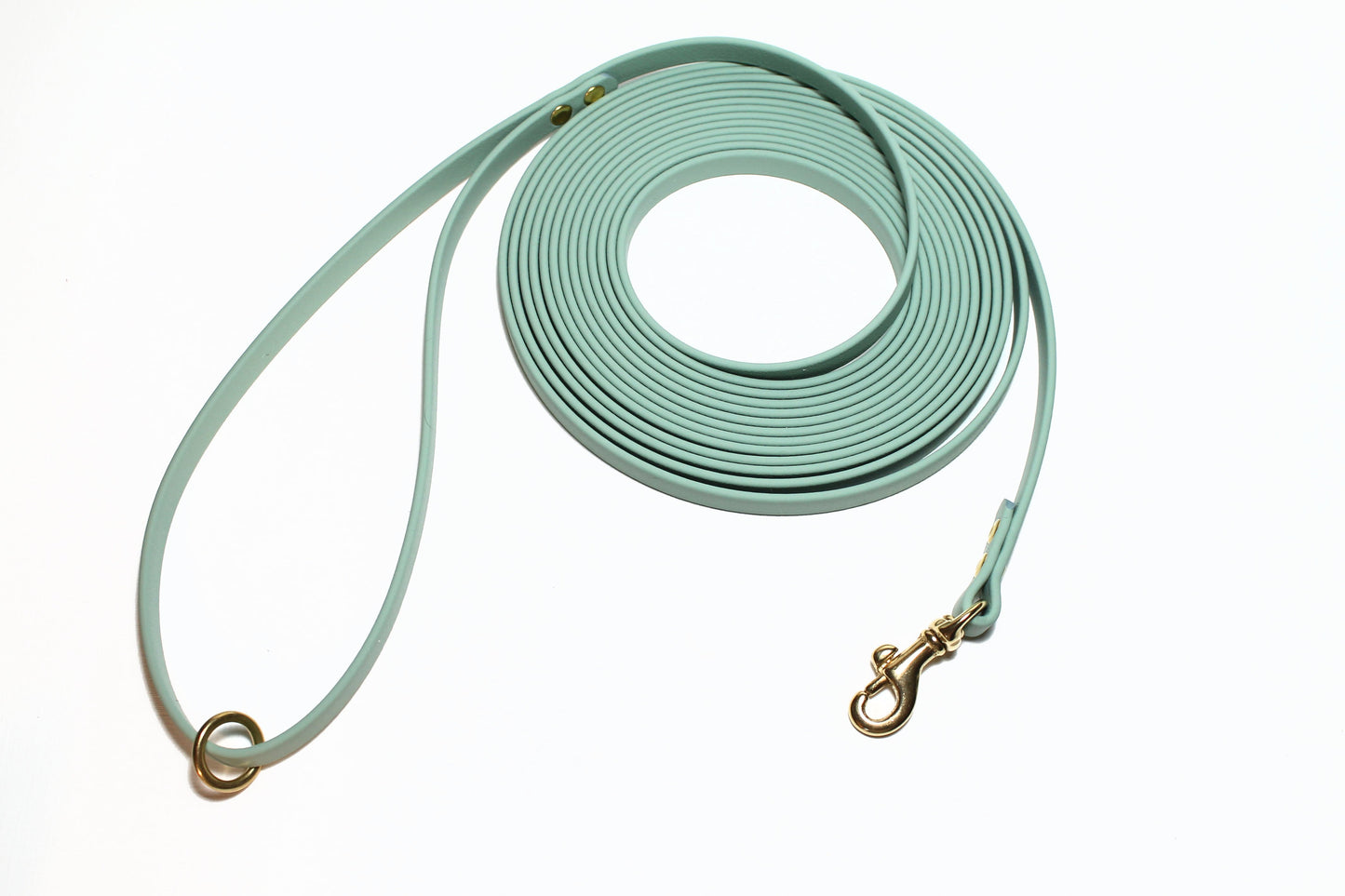 Lighter Weight Waterproof leashes - leash for cats - tracking recall long line - 3/8" (9mm) Biothane