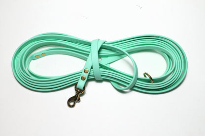 Lighter Weight Waterproof Tracking Recall Long Line - leash for smaller dog or cats - 3/8" (9mm) Biothane