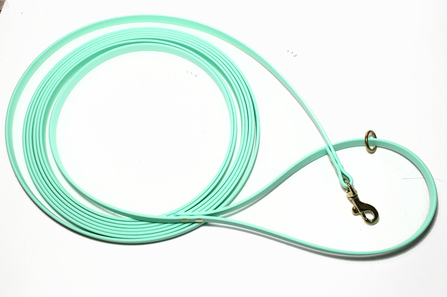 Lighter Weight Waterproof Tracking Recall Long Line - leash for smaller dog or cats - 3/8" (9mm) Biothane