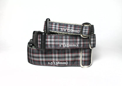Pride of Scotland Silver tartan - dog collar