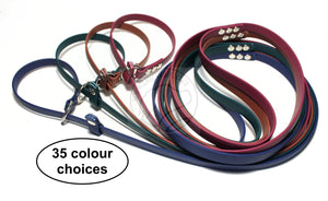 English Slip Lead - Stainless Steel or Solid Brass - Waterproof Leash in Genuine Biothane - 12mm (1/2") width