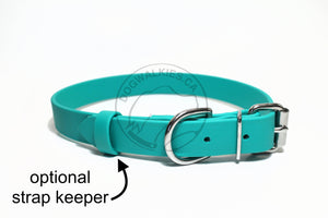 Teal Biothane Dog Collar - 1 inch (25mm) wide